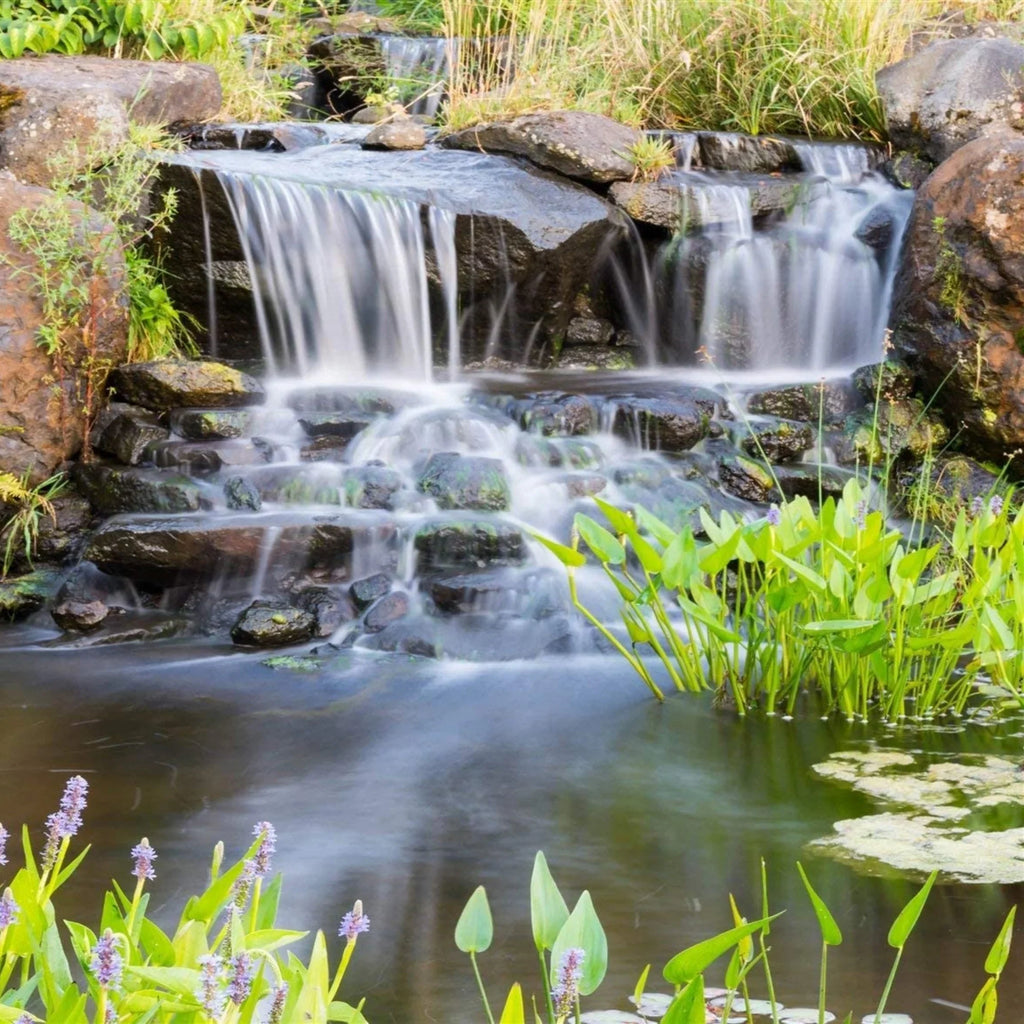 HALF OFF PONDS Piranha Series 3,000 GPH Direct Drive Submersible Pump for aqua Gardens, Ponds and Waterfalls - PN-3000