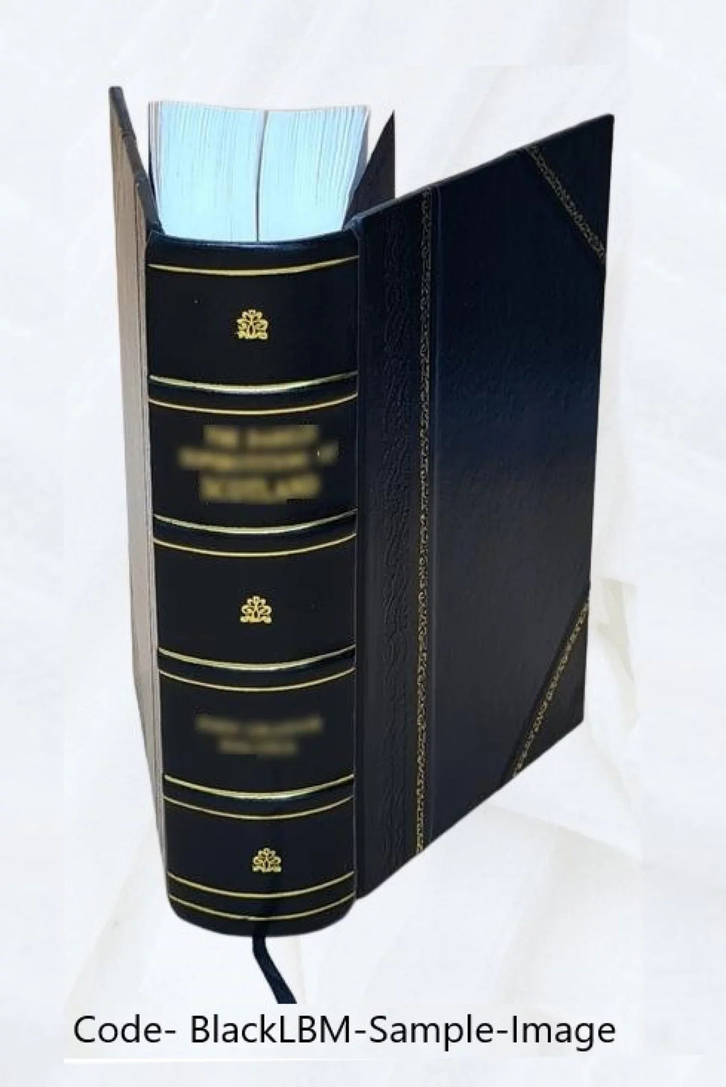 1577 [Leather Bo. e graeco translata ... Euthymii monachi Zigabeni Orthodoxae fidei dogmatica Panoplia, hucusque latinis incognita [et] / nunc primum per Petrum Franciscum Zinum ..