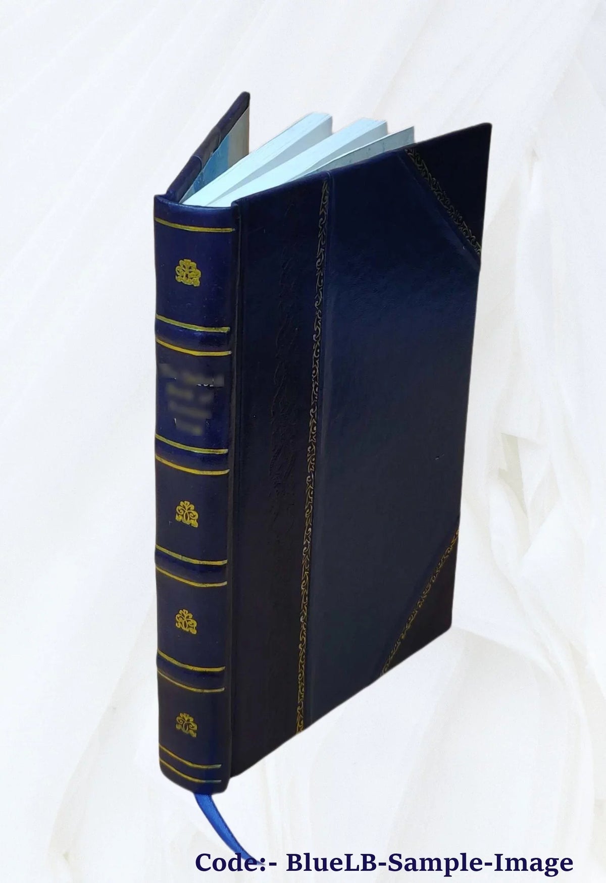 1901 [Leather Bound]. The helmet of Navarre / by Bertha Runkle ; illustrations by André Castaigne