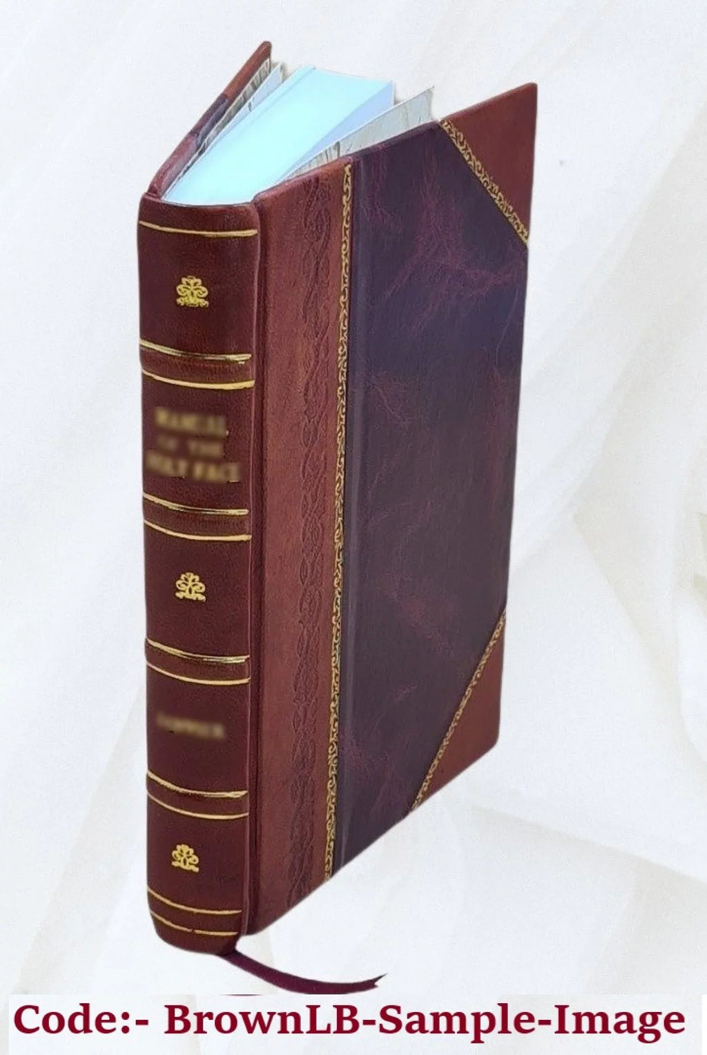 Rapport fait au nom de la Commission de̓nquête chargée de faire la lumière sur les allégations portées à la tribune à lo̓ccasion des affaires de Panama Volume v.3 1897 [Leat