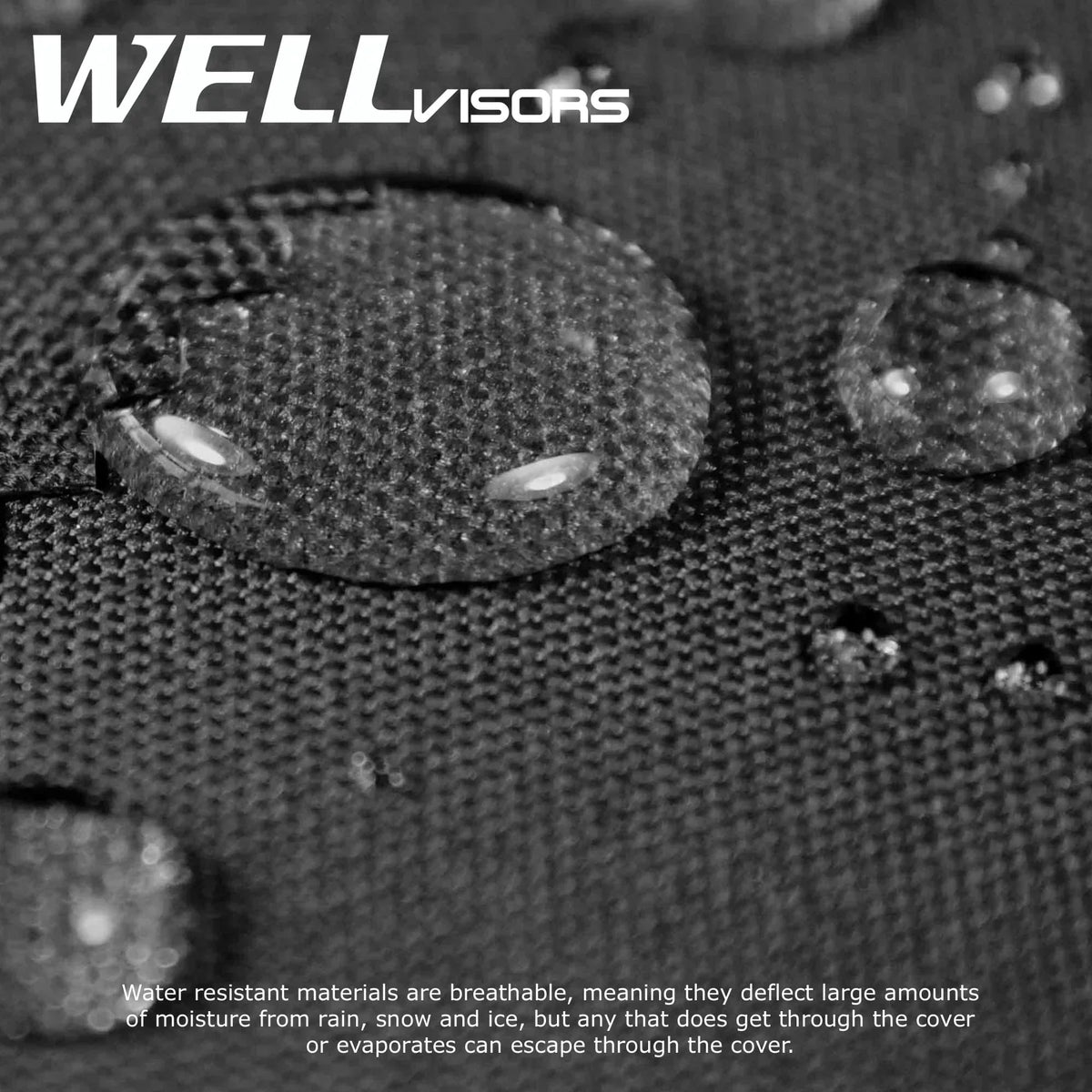 WellVisors All elements Car wrap For 2002-2010 Lexus SC Convertible