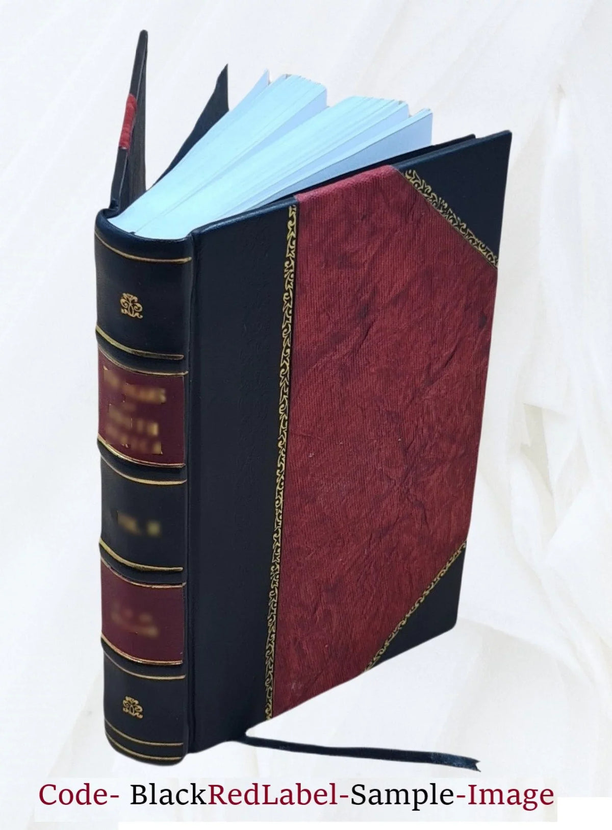 1901 [Leather Bound]. The helmet of Navarre / by Bertha Runkle ; illustrations by André Castaigne