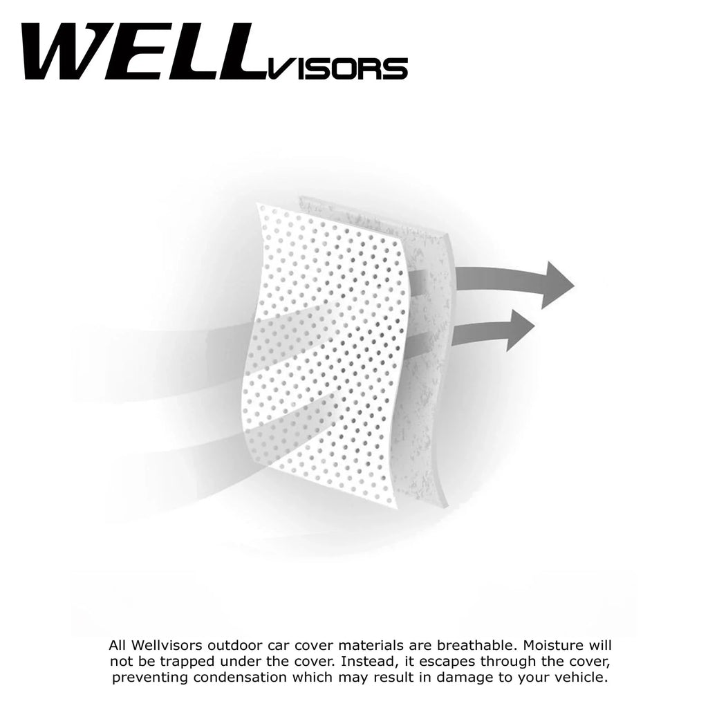 WellVisors All elements Car wrap For 2002-2010 Lexus SC Convertible