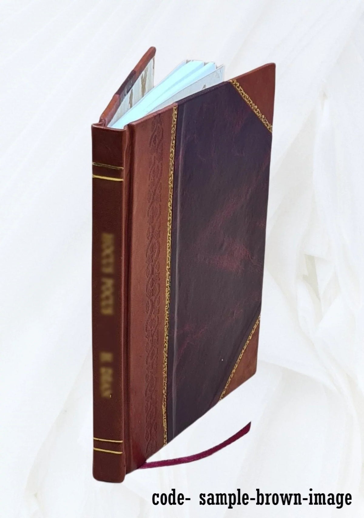 Humphreys chief of engineers United Sta. A. / A. : Gen. Progress-report upon Geographical and geological explorations and surveys west of the one hundredth meridian in 1872 under the direction of Brig
